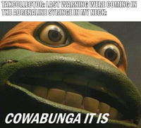 TAXCOLLECTOR: LAST WARNING WERE COMING IN THE ADRENALINE SYRINGE IN MY NECK: COWABUNGA IT IS