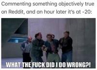 Commenting something objectively true on Reddit, and an hour later it's at -20: WHAT THE F--- DID I DO WRONG?!