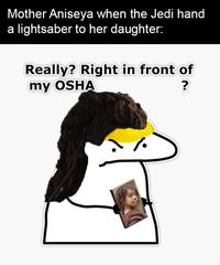 Mother Aniseya when the Jedi hand a lightsaber to her daughter: Really? Right in front of my OSHA ?