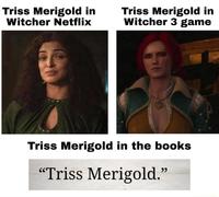 Triss Merigold in Witcher Netflix Triss Merigold in Witcher 3 game Triss Merigold in the books "Triss Merigold."