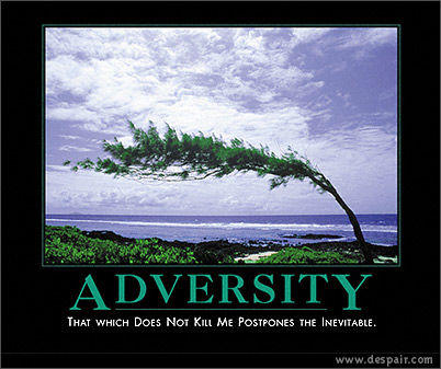 ADVERSITY THAT WHICH DOES NOT Kiu ME POSTPONES THE INEVITABLE. www.despair.com