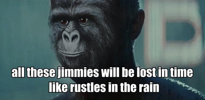 al these jimmies will be lost in time ike rusties in the rain