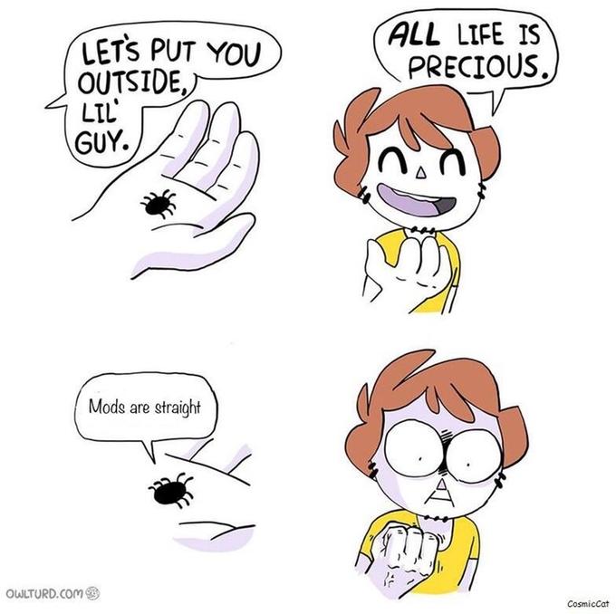 LETS PUT YOU ALL LIFE IS PRECIOUS. OUTSIDE, LIL Mods are straight OWLTURD.Com CosmicCat