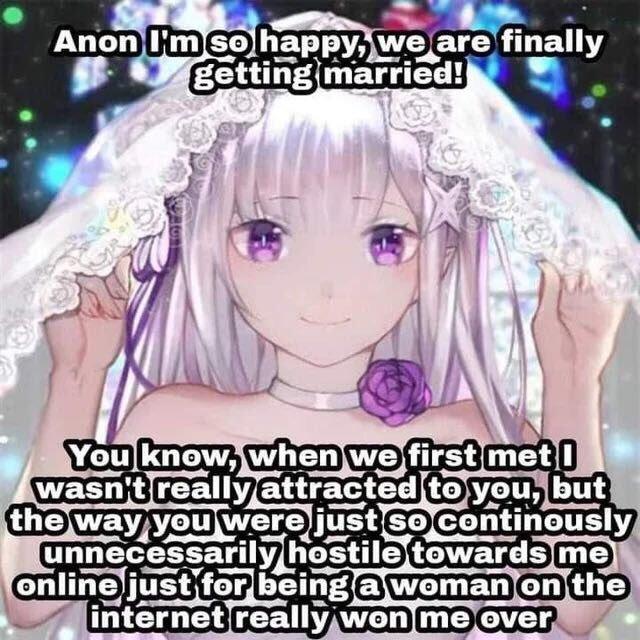 Anon I'm so happy, we are finally getting married! You know, when we first met wasn't reallyattracted to you, but the way you were just so continously unnecessarily hostile towards me online just for being a woman on the internet really won me over