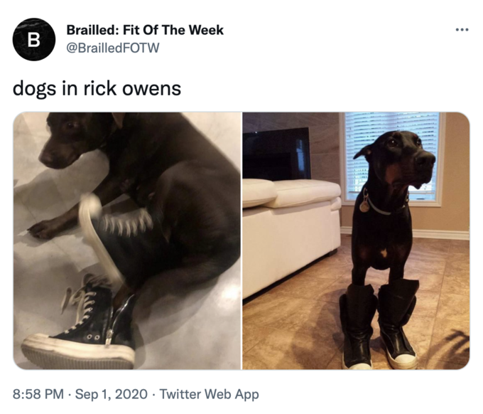 Brailled: Fit Of The Week B ... @BrailledFOTW dogs in rick owens 8:58 PM · Sep 1, 2020 · Twitter Web App