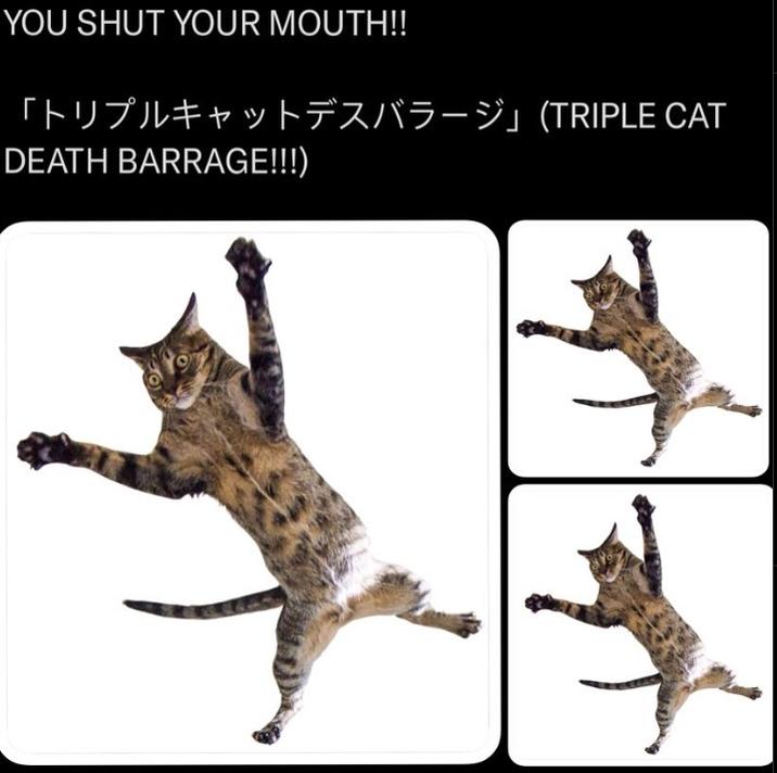 YOU SHUT YOUR MOUTH!! 「トリプルキャットデスバラージ」 (TRIPLE CAT DEATH BARRAGE!!!)