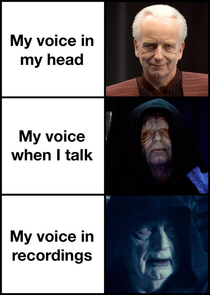 My voice in my head My voice when I talk My voice in recordings