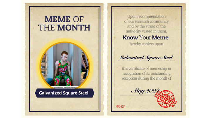 MEME OF THE MONTH an overwhelming and wonderful experie th Galvanized Square Steel Upon recommendation of our research community and by the virute of the authority vested in them, Know Your Meme hereby confers upon Galvanized Square Steel this certificate of memeship in recognition of its outstanding reception during the month of May 2024 N0524 CERTIFIED