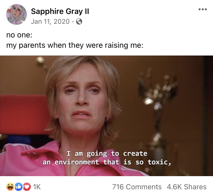 Sapphire Gray II Jan 11, 2020. no one: my parents when they were raising me: DO 1K I am going to create an environment that is so toxic, 716 Comments 4.6K Shares