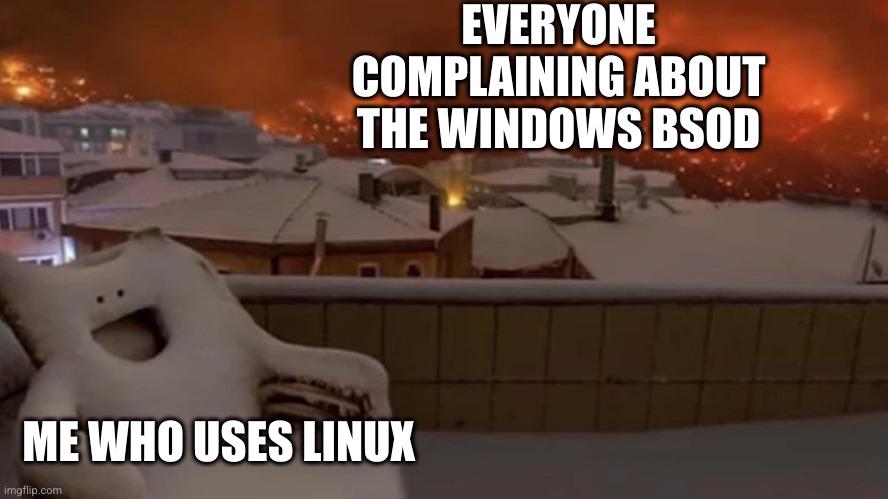 EVERYONE COMPLAINING ABOUT THE WINDOWS BSOD ME WHO USES LINUX imgflip.com
