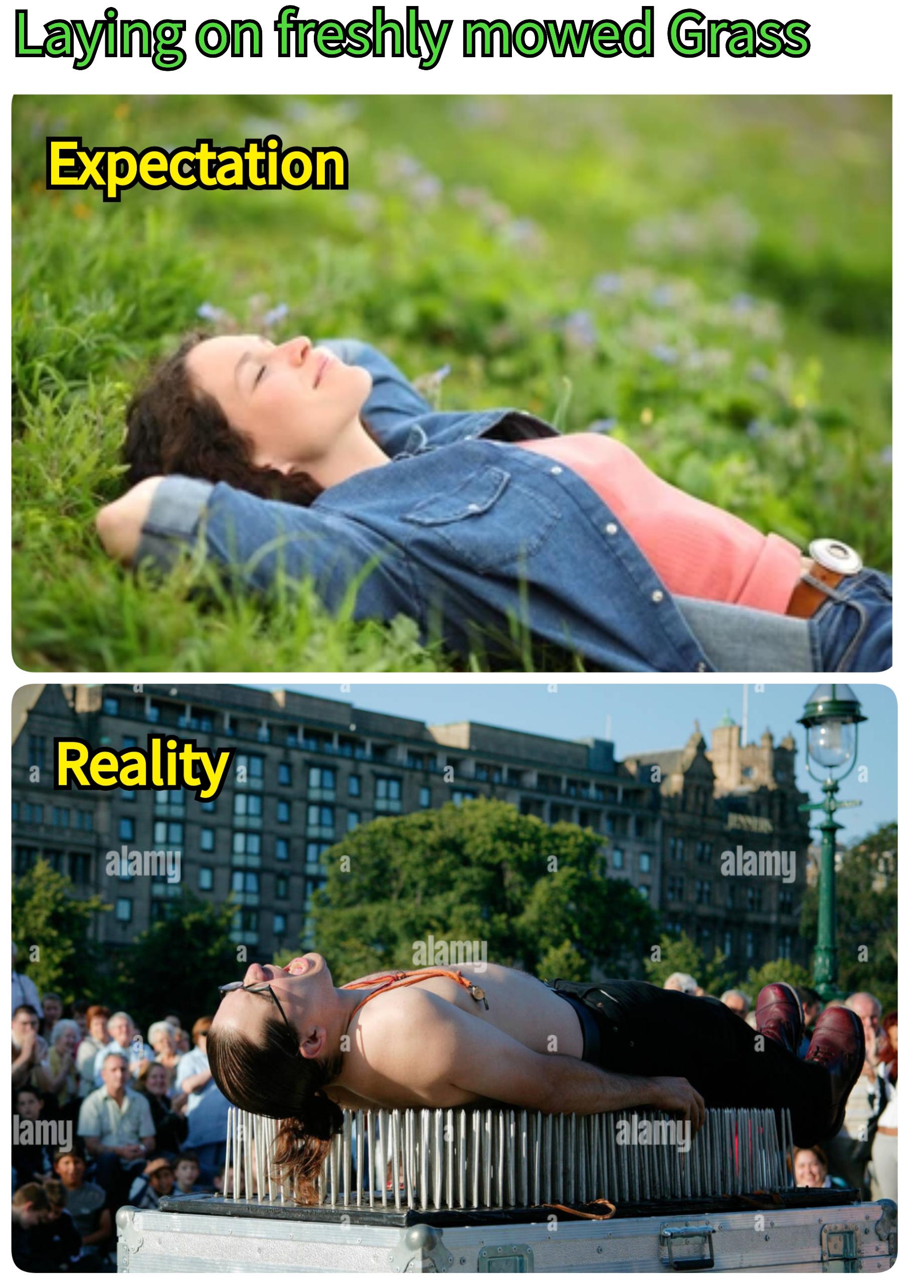 Laying on freshly mowed Grass Expectation a Reality alamy a lamy a a a a alamu a a a a alamy alamy a a