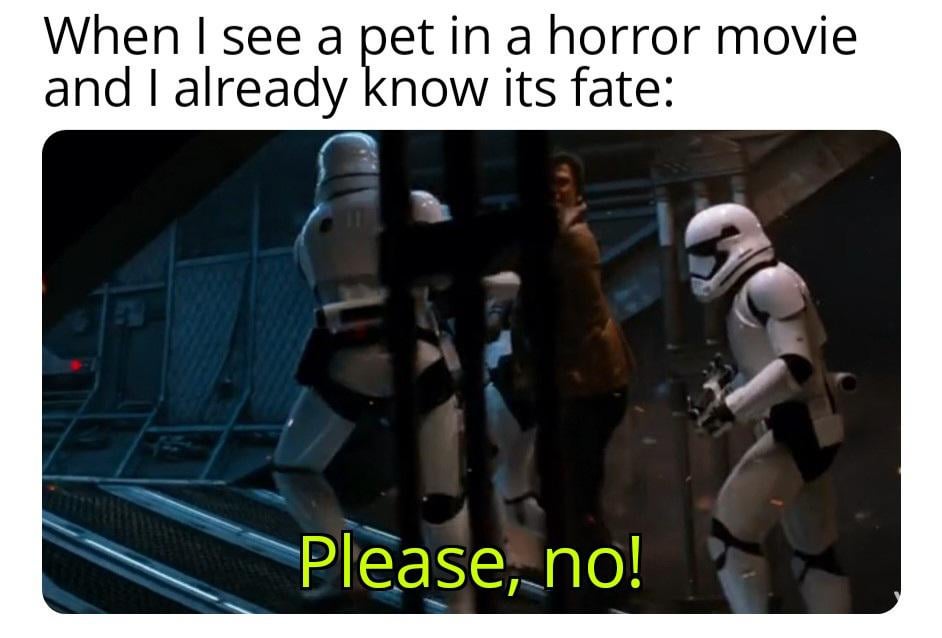 When I see a pet in a horror movie and I already know its fate: Please, no!