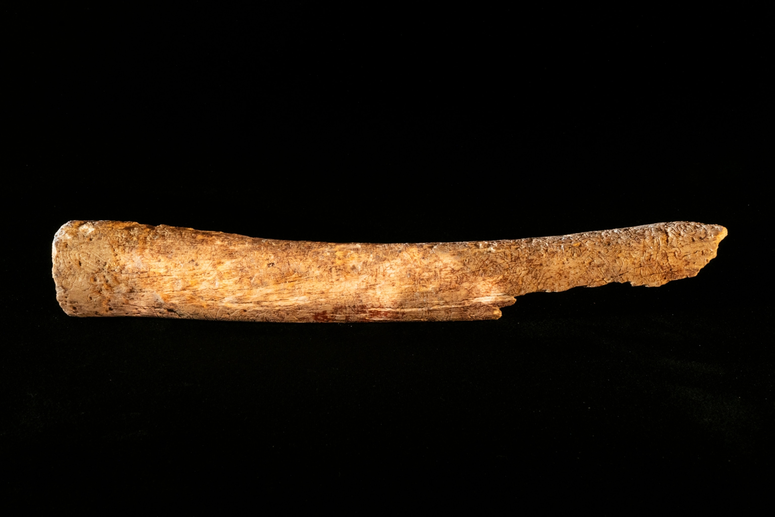 carved bone found in Mayan tomb