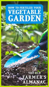 Vegetable Gardener's Handbook