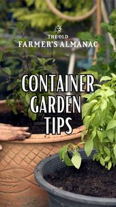 Container Gardener's Handbook