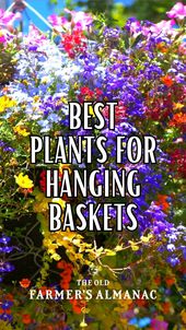 Container Gardener's Handbook