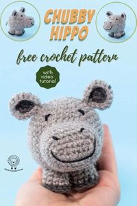 Chubby Hippo free amigurumi pattern