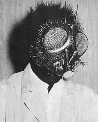 The original Fly's head from 'The Fly' (1958), built by Ben Nye and worn by David Hedison, the very actor who portrays Andre Delambre in the film.