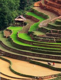 Mu Cang Chai, #Vietnam