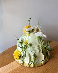 two green dome cakes from the last day @bramblebakes. I have a ton of bts photos & videos from the last three years but we’re not going to… | Instagram