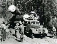 Red River Lumber logging Moolight area.