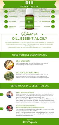 Dill essential oil has many wonderful uses and health benefits such as for relieving stress and helping with digestion. This guide covers the research and facts behind this powerful oil. via @momprepares