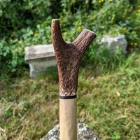 Finished of this Holly walking stick with antler and buffalo horn spacer.