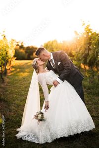 Stock Image: beautiful bride in white dress and groom kissing in the middle of vineyard and grapes, groom holding bride,sunny day, love is in the air, wedding photography