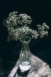 Vase of gypsophila flowers in patch of sunlight. by DarrenMuir | Stocksy United