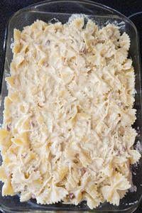 chicken Alfredo pasta in a baking dish