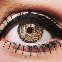 Leopard print contact lens<3 now there is something different I wouldn't mind trying!