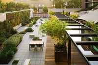 Hotel Modera in Portland, Oregon by Lango Hansen Landscape Architects