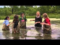 SciGirls 101: Turtle Mania - YouTube