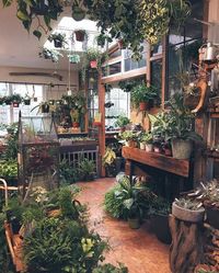 If I could have a garden shop at the rear of my home just like this!