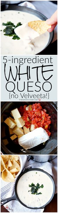 5-ingredient white queso | The Baking Fairy