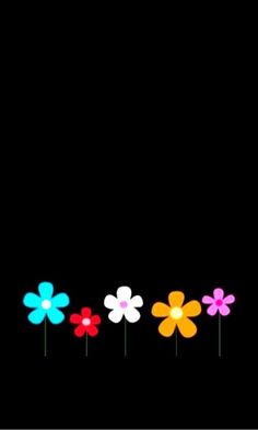 four colorful flowers on a black background