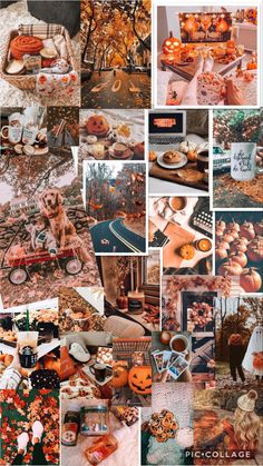 a collage of photos with pumpkins and other things in them, including pictures