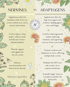 an info sheet with flowers on it and the words nervines vs adapttogens