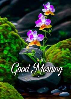 the words good morning are written in white and purple flowers on rocks next to water