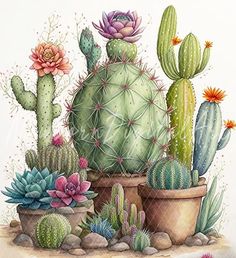 a watercolor painting of cactuses and succulents