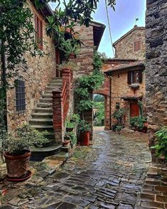 an alley way with stone buildings and steps leading to potted plants on either side