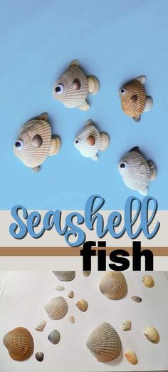 the words seashell fish are in front of some sea shells