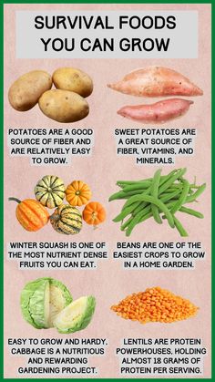 a poster with different types of vegetables and their names in english, spanish or japanese