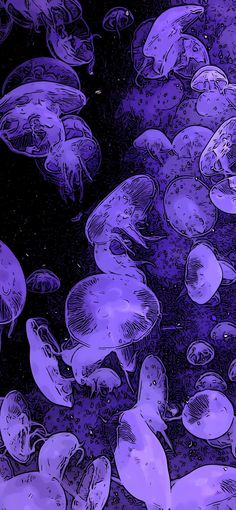 an image of jellyfish in the water with purple hues on it's surface