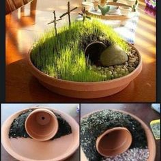 there is a potted plant with grass growing out of it and rocks in the ground