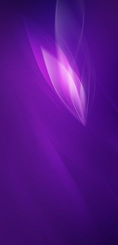 an abstract purple background with wavy lines