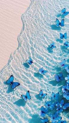 many blue butterflies floating in the water on top of a sandy beach next to an ocean
