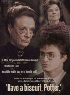 a movie poster with harry potter and his mother