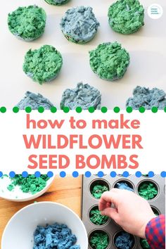 Learn how make a seed bombs and spread wildflower seed bombs around your neighbourhood for Earth Day or any day. #wildflowerseedbomb #seedbombactivity #easypaperseedbomb #scienceforkids #gardeningwithkids #diygardenproject Wildflower Seed Balls, Earth Day Seed Balls, Seed Bomb Directions Printable, Earth Day Preschool Activities, Seed Activities, Preschool Teacher Tips, Gardening Kids Activities, Science Preschool, Earth Day Craft