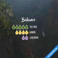 Balance Diffuser Blend, Essential Oils Herbs, Diy Kosmetik